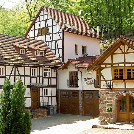 Pension Untere Muehle Burghaun Экстерьер фото